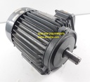 TECO 3.PHASE INDUCTION MOTOR