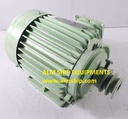 Teco AEEBKB-YD 3-Phase Induction Motor