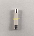 TEAMTEC FUSE LINK 5*25 MM,1A 250V(F)