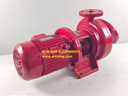 Merser A.25AH MEK Centrifugal Water Pump