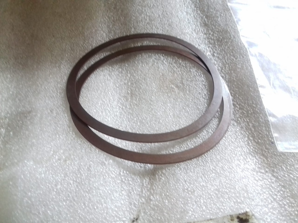 HP DEL VALVE SPRING