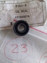 OIL SEAL