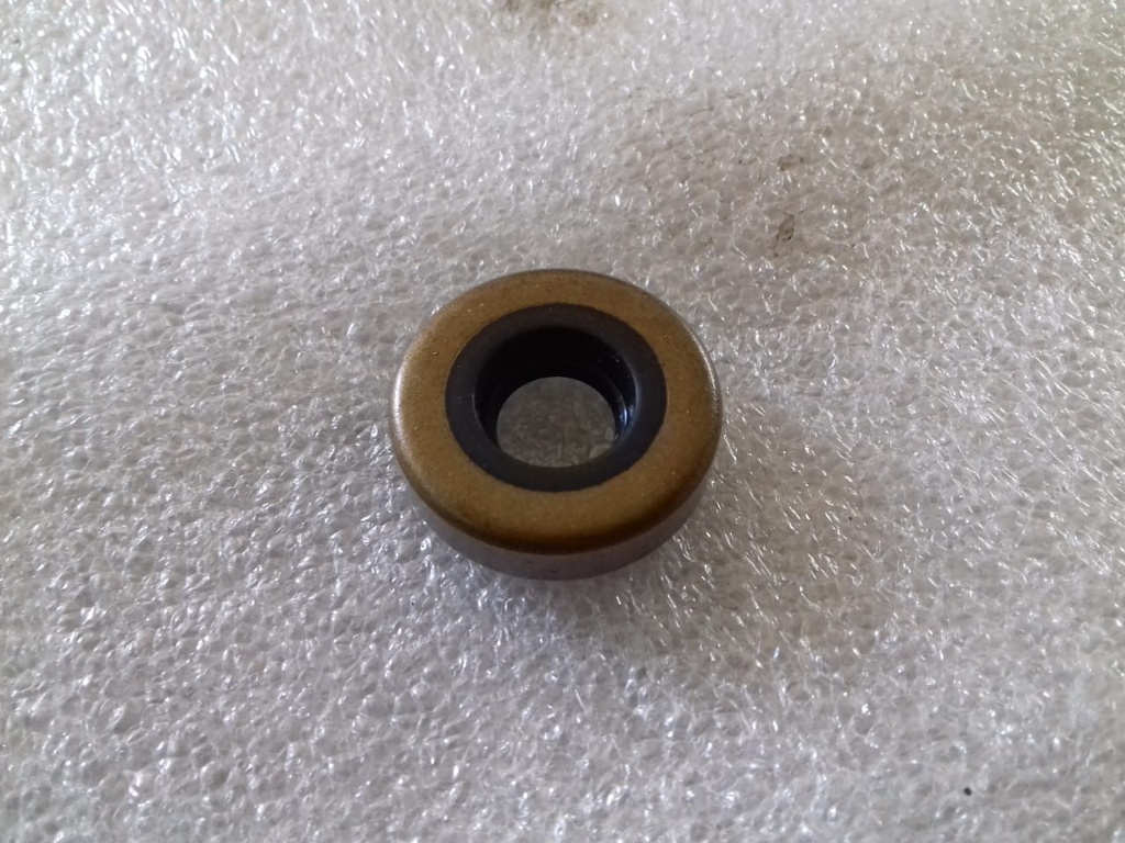 OIL SEAL