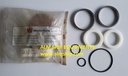 Framo Seal Kit