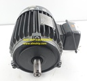 TECO 3-PHASE INDUCTION MOTOR